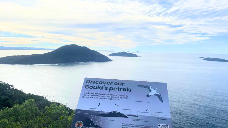 mount-tomaree-lookout-gallery9