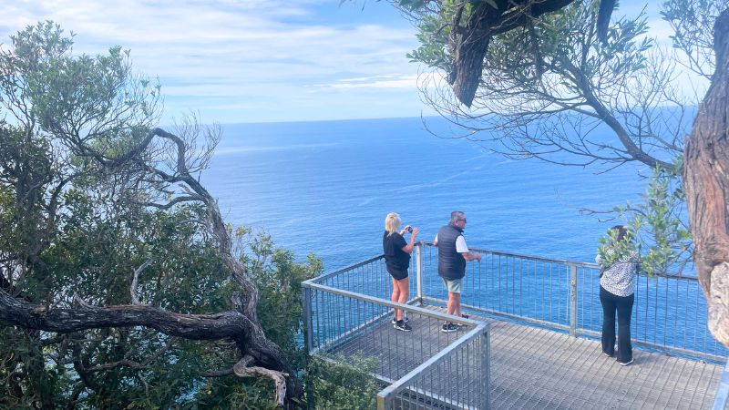 mount-tomaree-walk-gallery7