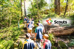 scouts-nsw-main2
