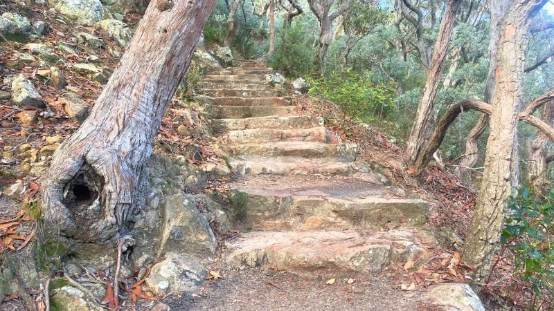 tomaree-mountain-gallery3