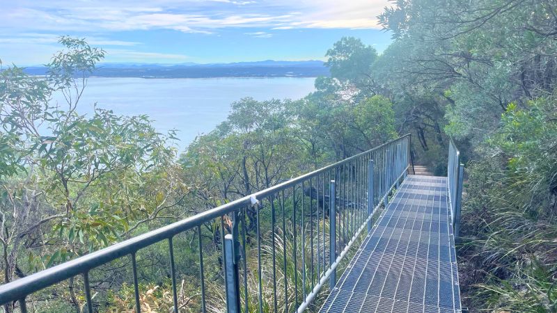 tomaree-mountain-walk-gallery6
