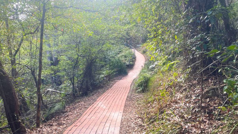 tomaree-sumit-walk-gallery1