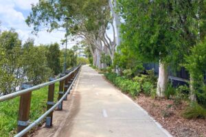 Throsby-creek-walk-Islington-park-honeysuckle-main_2