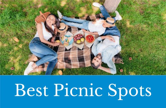 picnic-sports-lakemac-home-page