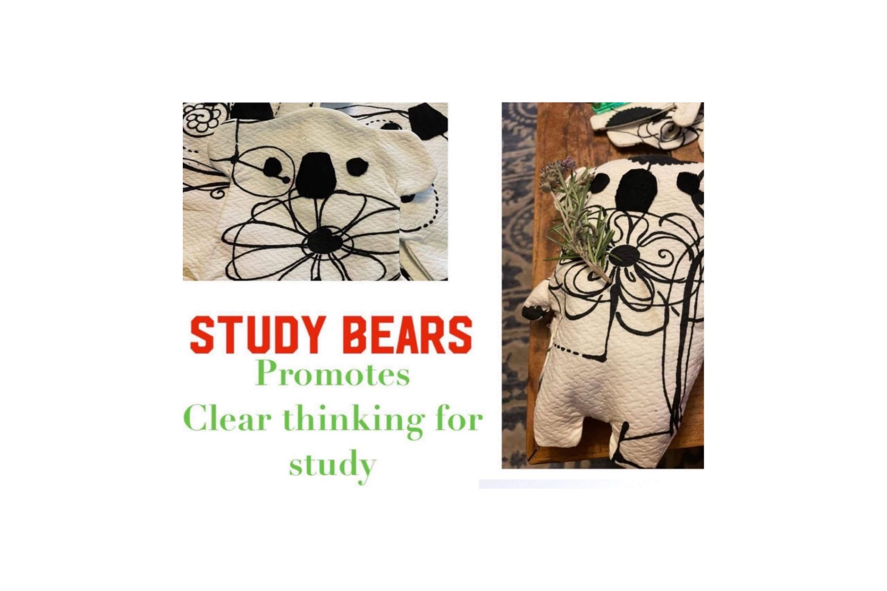 study-bear-spring-26