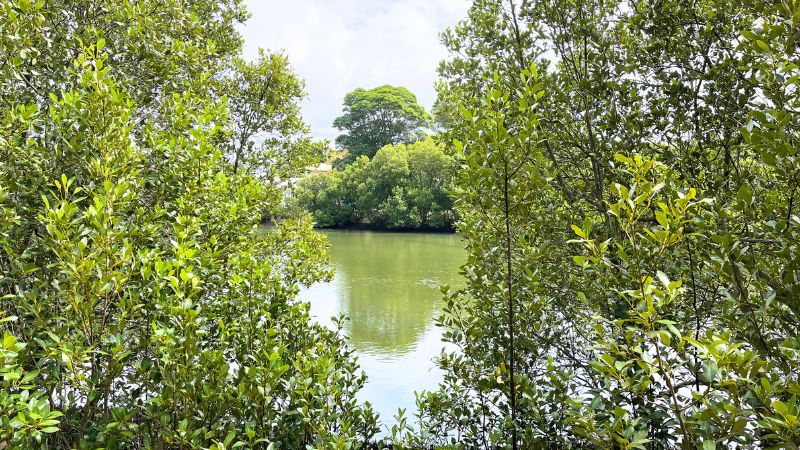 throsby-creek-walk-gallery3