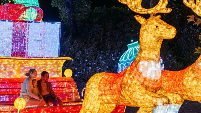 christmas lights hunter valley-gallery3