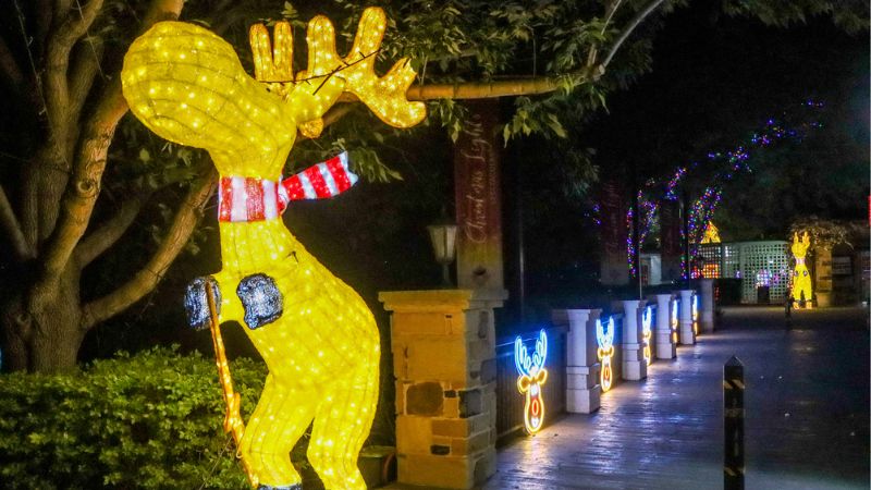 christmas lights hunter valley-gallery4