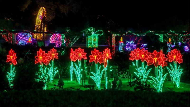 christmas lights hunter valley-gallery5