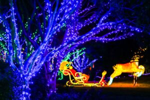 hunter-valley-gardens-christmas-lights-main