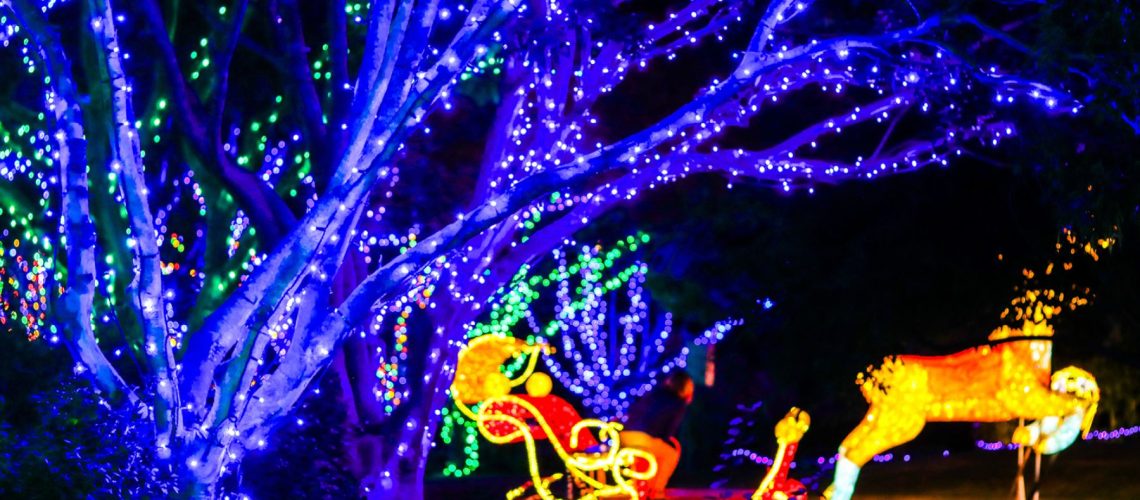hunter-valley-gardens-christmas-lights-main