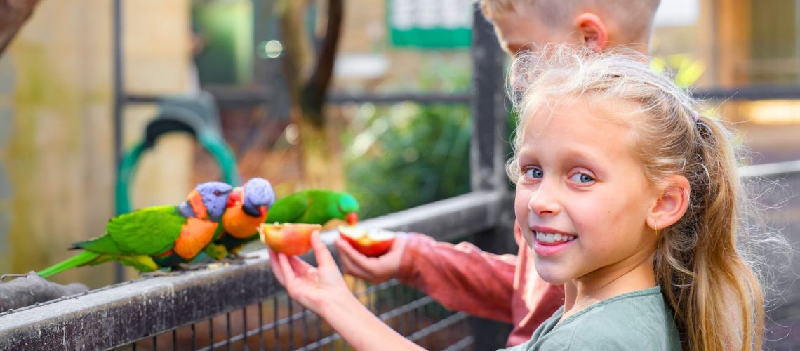 hunter-valley-wildlife-park-main