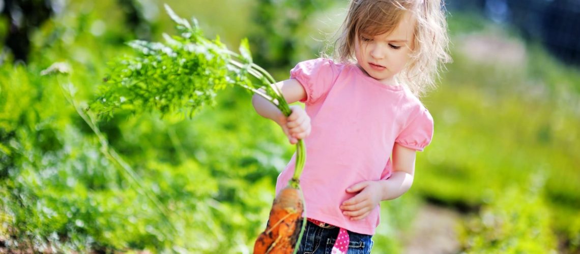 kids-veggie-patch