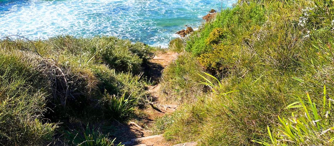 leggy-point-loop-walking-track-main